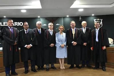 Conselheira Maria Adélia Sales é homenageada em sua última sessão no Tribunal de Contas