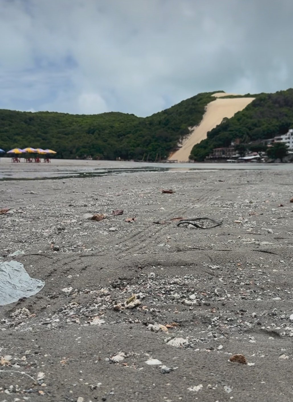 Semurb reconhece que rodolitos na engorda de Ponta Negra podem causar ferimentos em banhistas