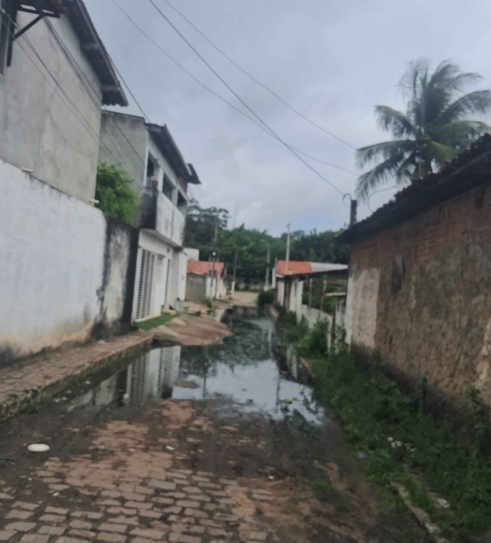 O desastre da gestão Nilda em Parnamirim