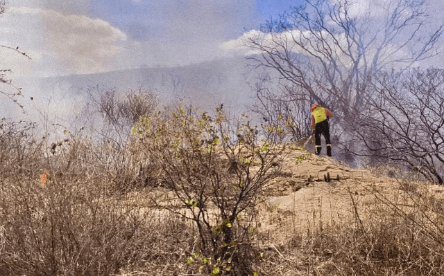 Corpo de Bombeiros do RN combate incêndio por mais de 12 horas na Região do Seridó