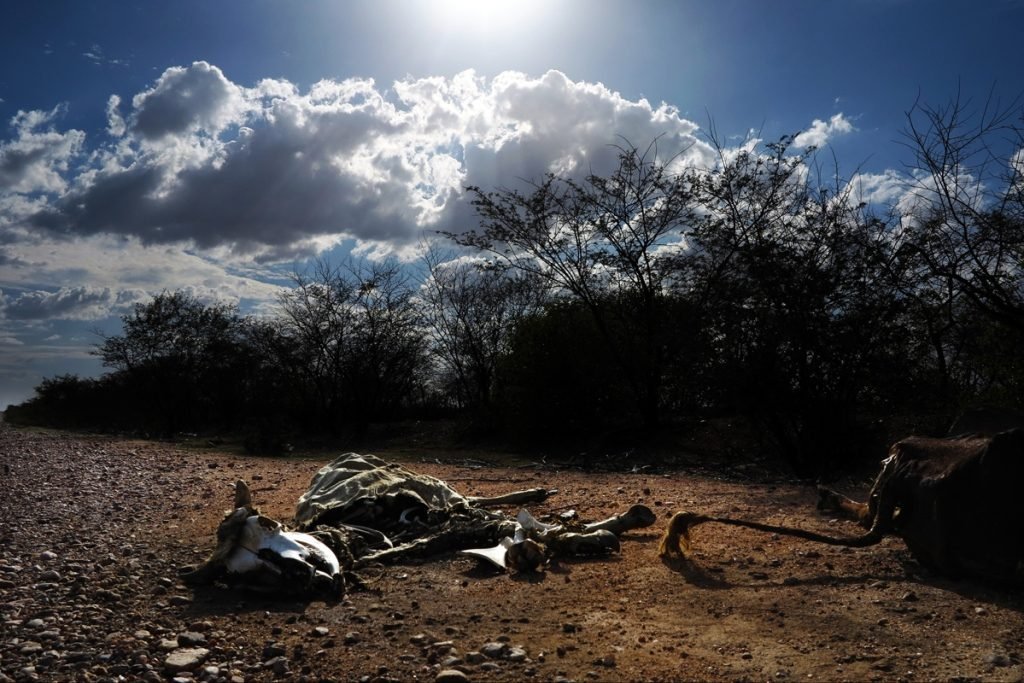 Governo federal reconhece situação de emergência no município de Parelhas(RN)