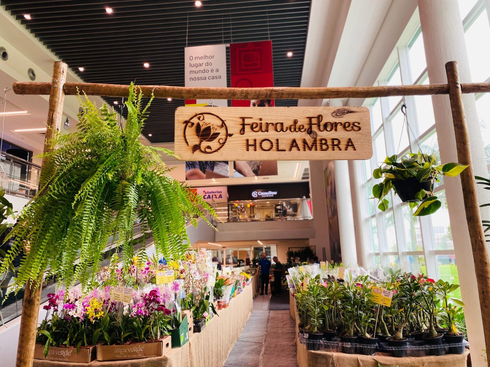 Ferreira Costa promove Feira de Flores de Holambra em Natal