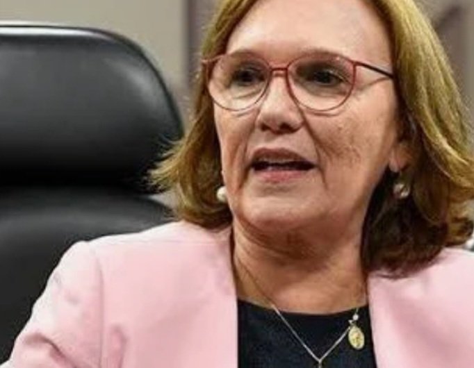 Entrada de Flávio Rocha na disputa ao Senado acende alerta no grupo de Zenaide Maia