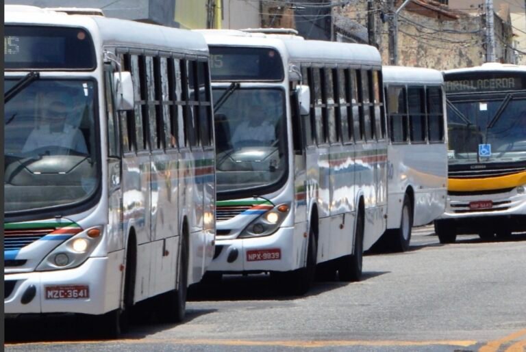 Eleitores terão ônibus gratuitos para votar no RN